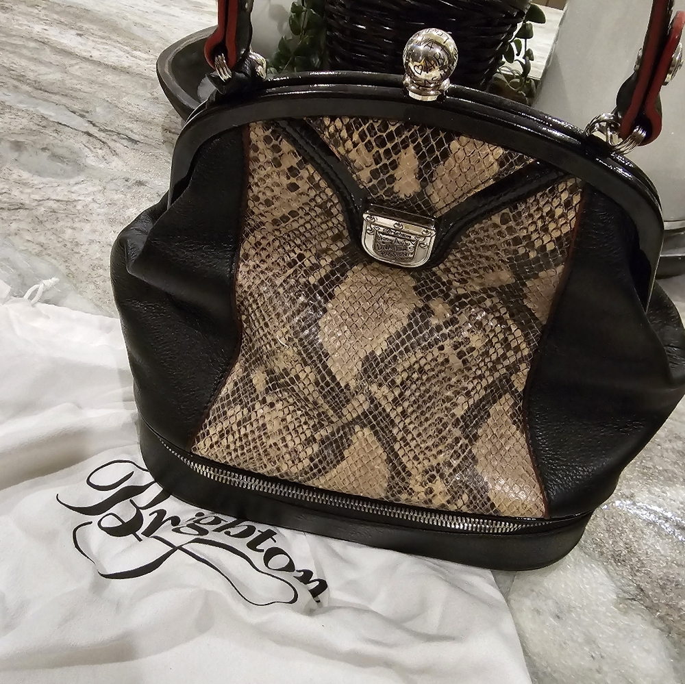 Brighton Elegant  purse with snake decoration